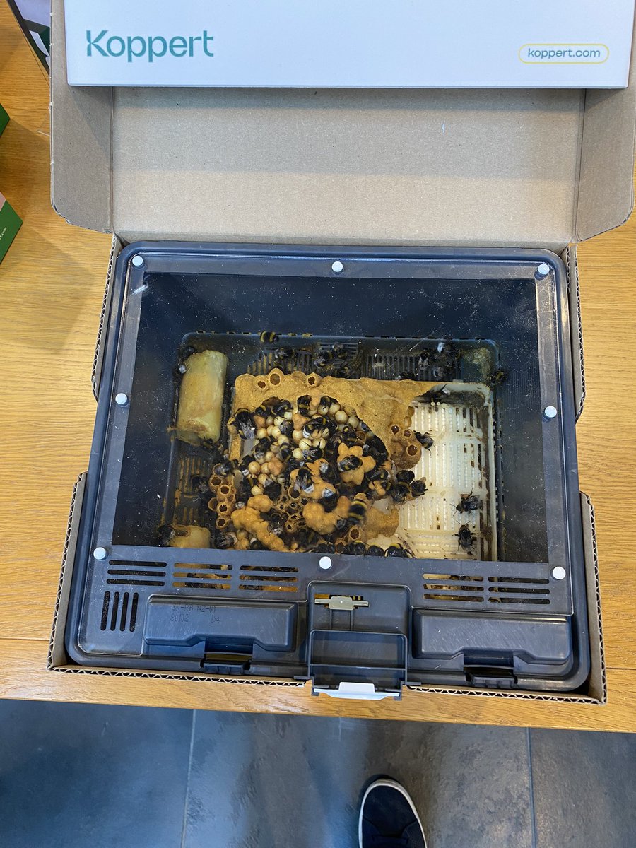 State Board tweet media