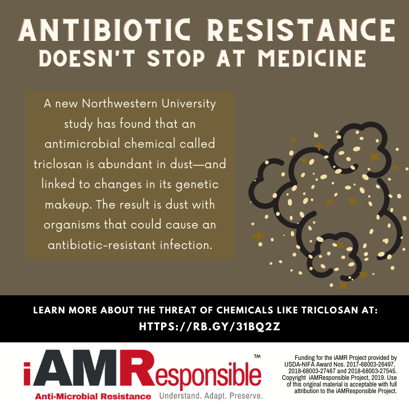 i_AMResponsible's tweet photo. Surprise! The air is alive with the sound of #microorganisms! A study found that dust can contain #AntibioticResistant particles. #AMR https://t.co/nXweP1Nr3w
#EEWeek
#ForEnviorEd https://t.co/MikQXVjiLy