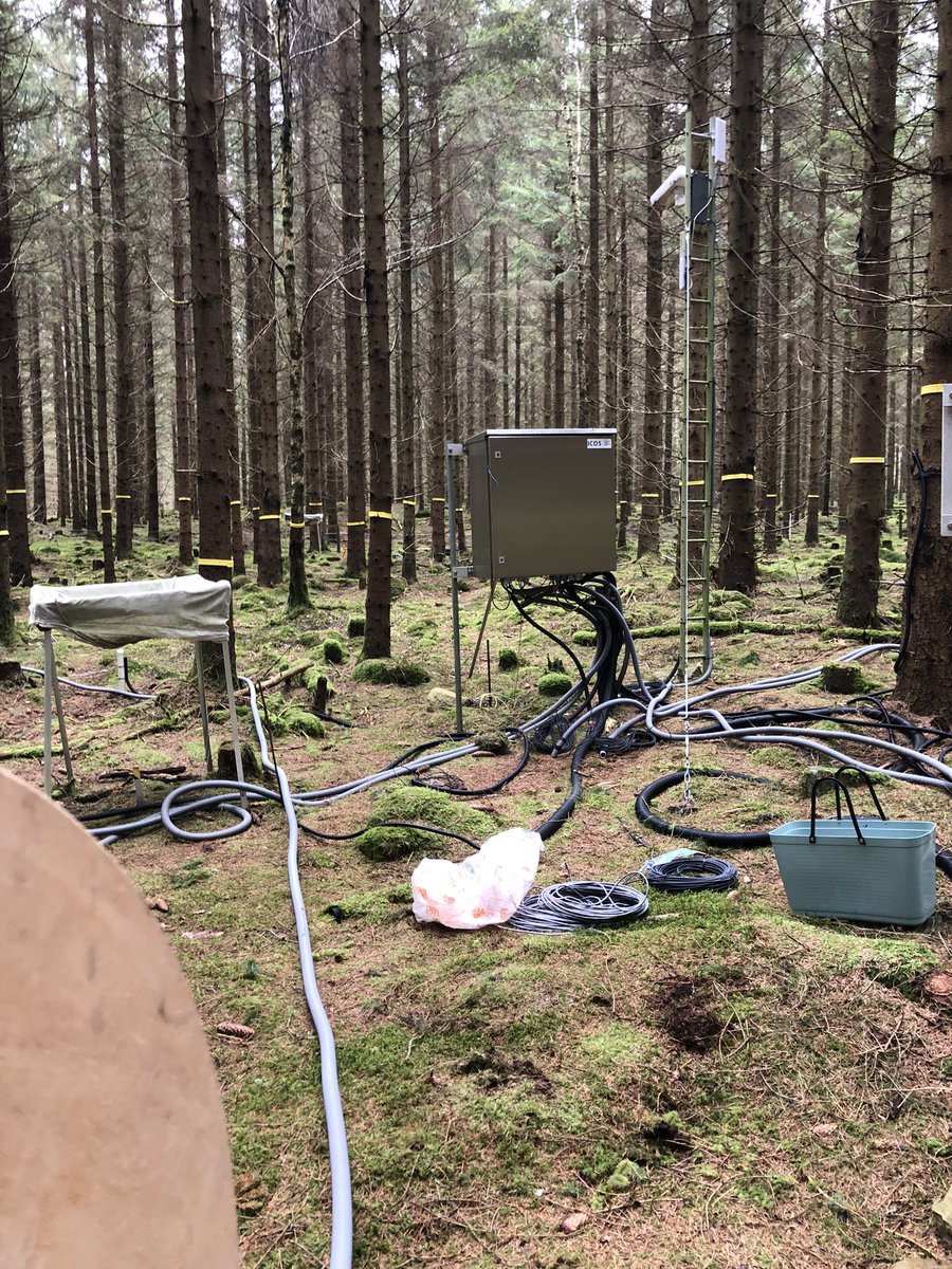 JoaannaEaton's tweet photo. Another day another slay between relocating sensors, pulling cables in tubes, and watching one of my supervisors running around taking photos🌲🌲 

#Fieldphoto #Forest #LU https://t.co/2HaYh67UsV