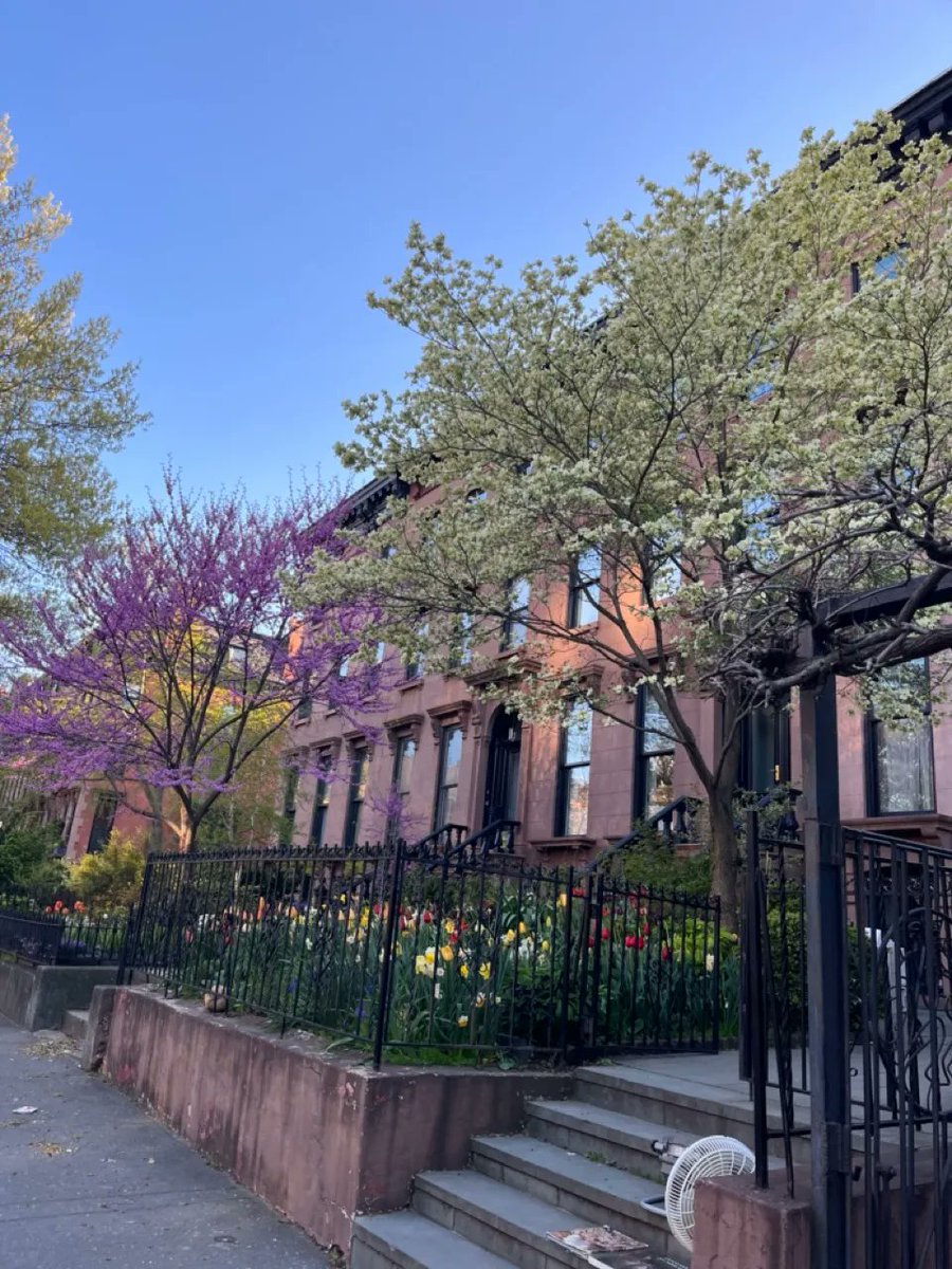 Brooklyn Creative League tweet media