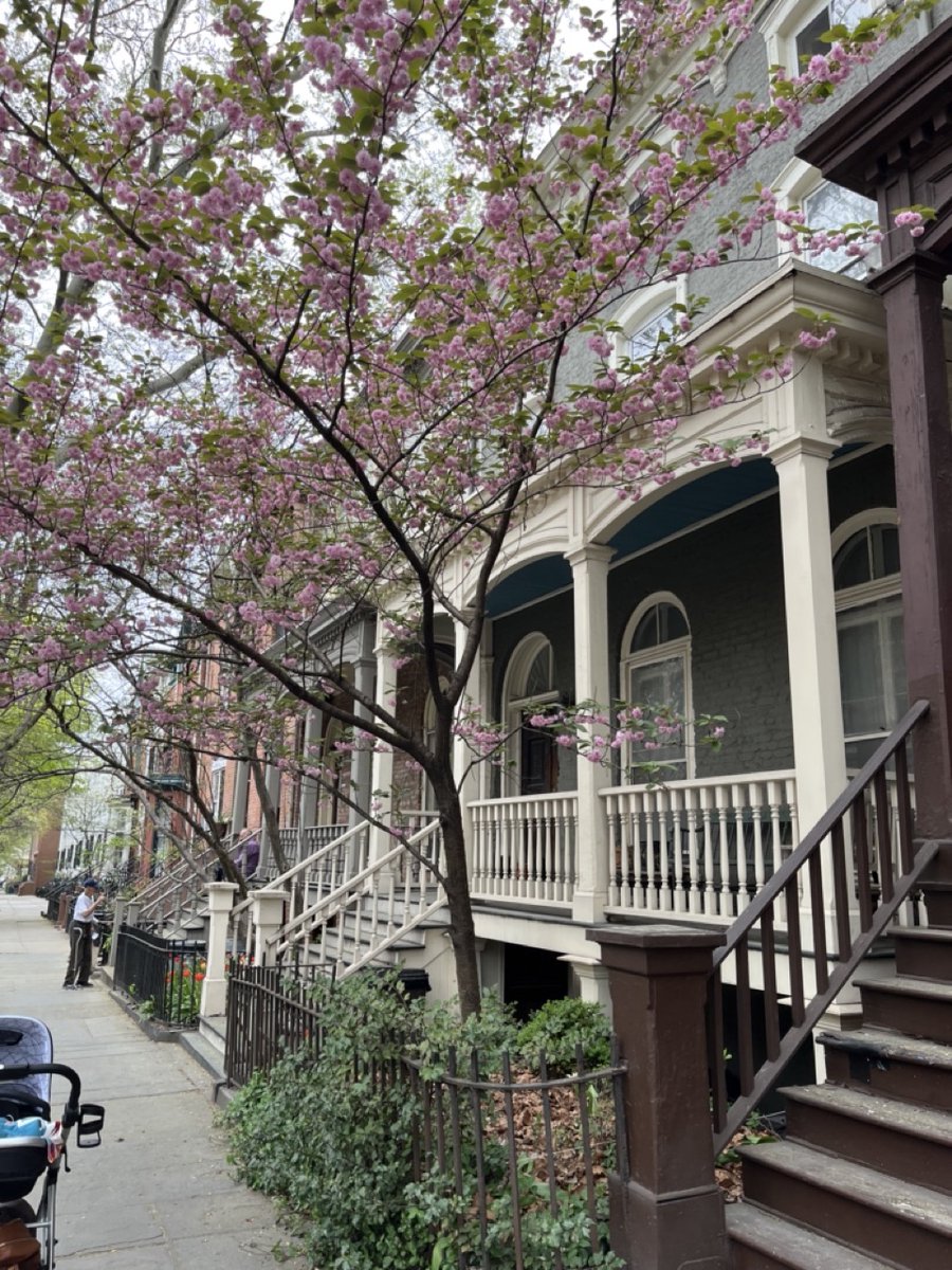 Brooklyn Creative League tweet media