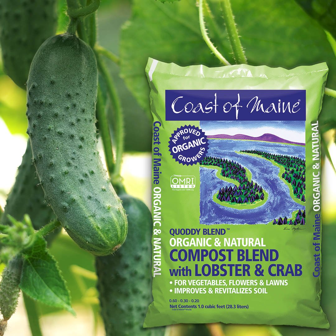 The original "seafood" compost. 🦞🦀🌱 Made with lobster and crab shell meal blended with compost, sphagnum peat moss &amp; aged bark. The result is a complex soil that drains well &amp; is ideal for conditioning beds and borders. Excellent for high yield vegetable gardens. OMRI Listed.