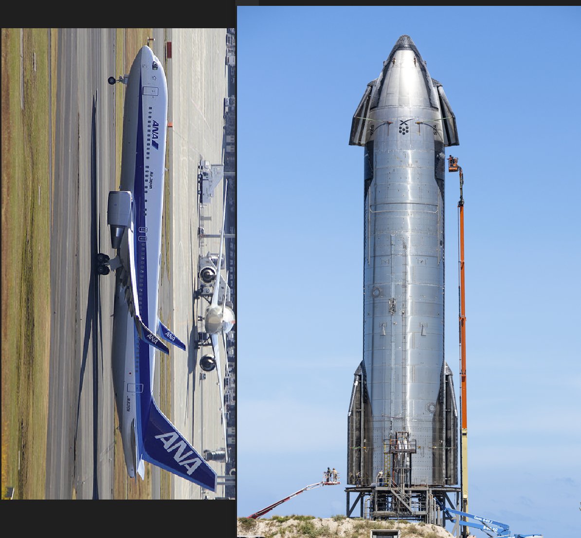 さらだ on Twitter