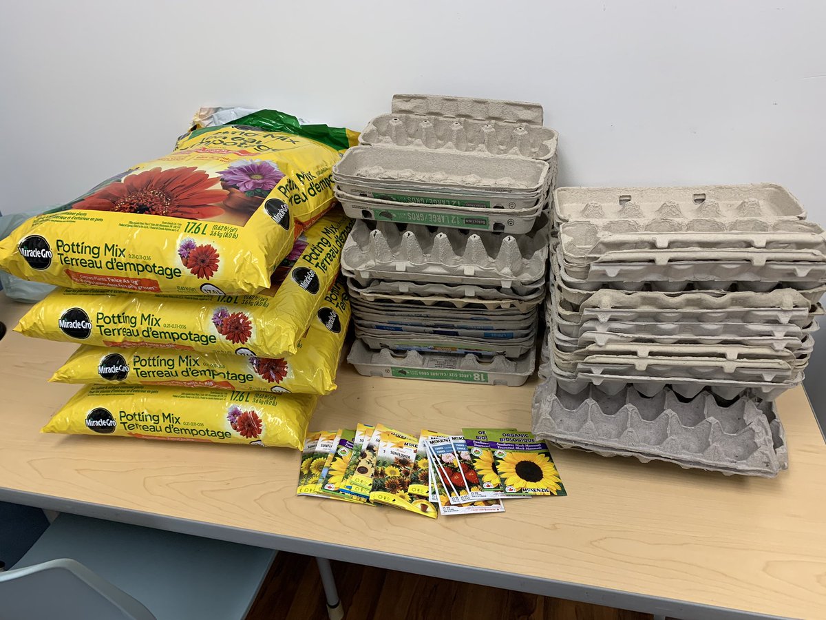 When you ask your school for egg cartons and you return to this in your office!  Getting back to my ‘roots’. Excited to be planting again. @RCDSB @RenaldCousineau #watchusgrow