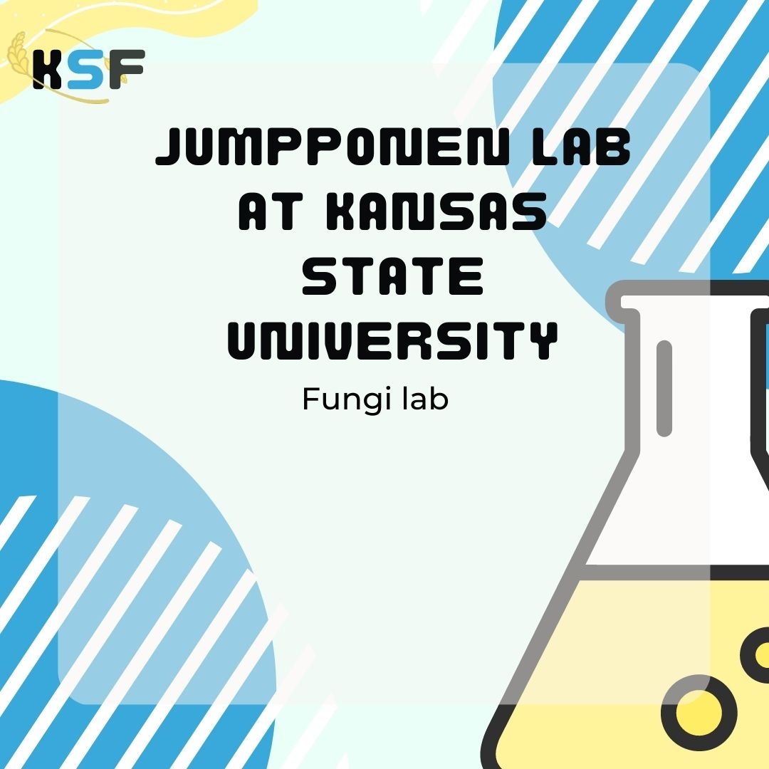 KScienceFest's tweet photo. Fungi are everywhere! Just like us, they need food, shelter, and water to grow. Come visit with scientists from the Jumpponen Lab at Kansas State University all about fungi! April 29th. #KansasScienceFestival #MHK #downtownMHK #2023KSF #STEAM https://t.co/1D17ZSjPay
