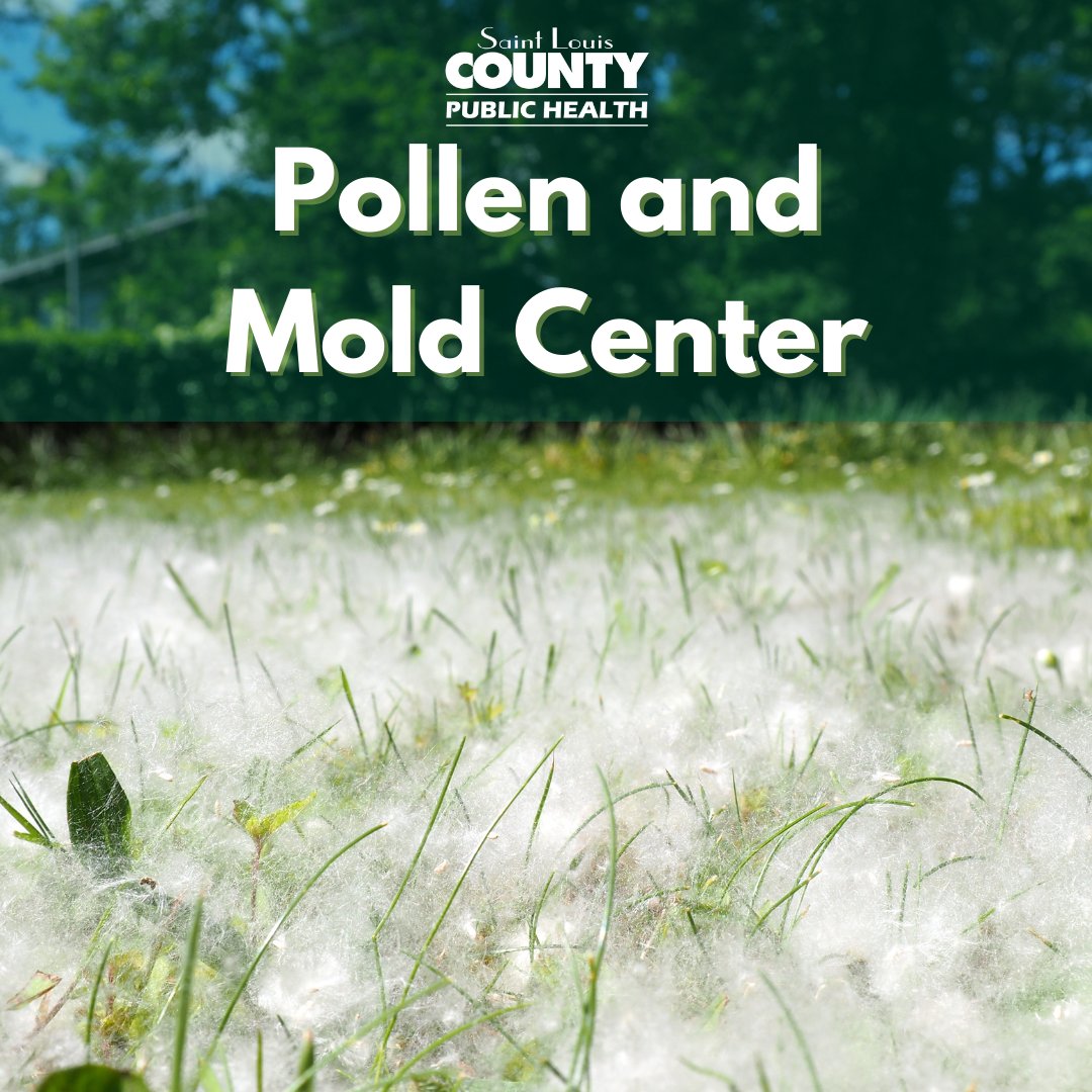 StLCountyDOH's tweet photo. Are you a seasonal allergy sufferer? 🤧

Knowing the pollen and mold count can be a game changer. DPH has an online Pollen and Mold Center for residents to get the most recent reports. The reports are updated every business day by 11 a.m. Please visit: https://t.co/gYDFmX0Stm https://t.co/UdiTz1Cqr1