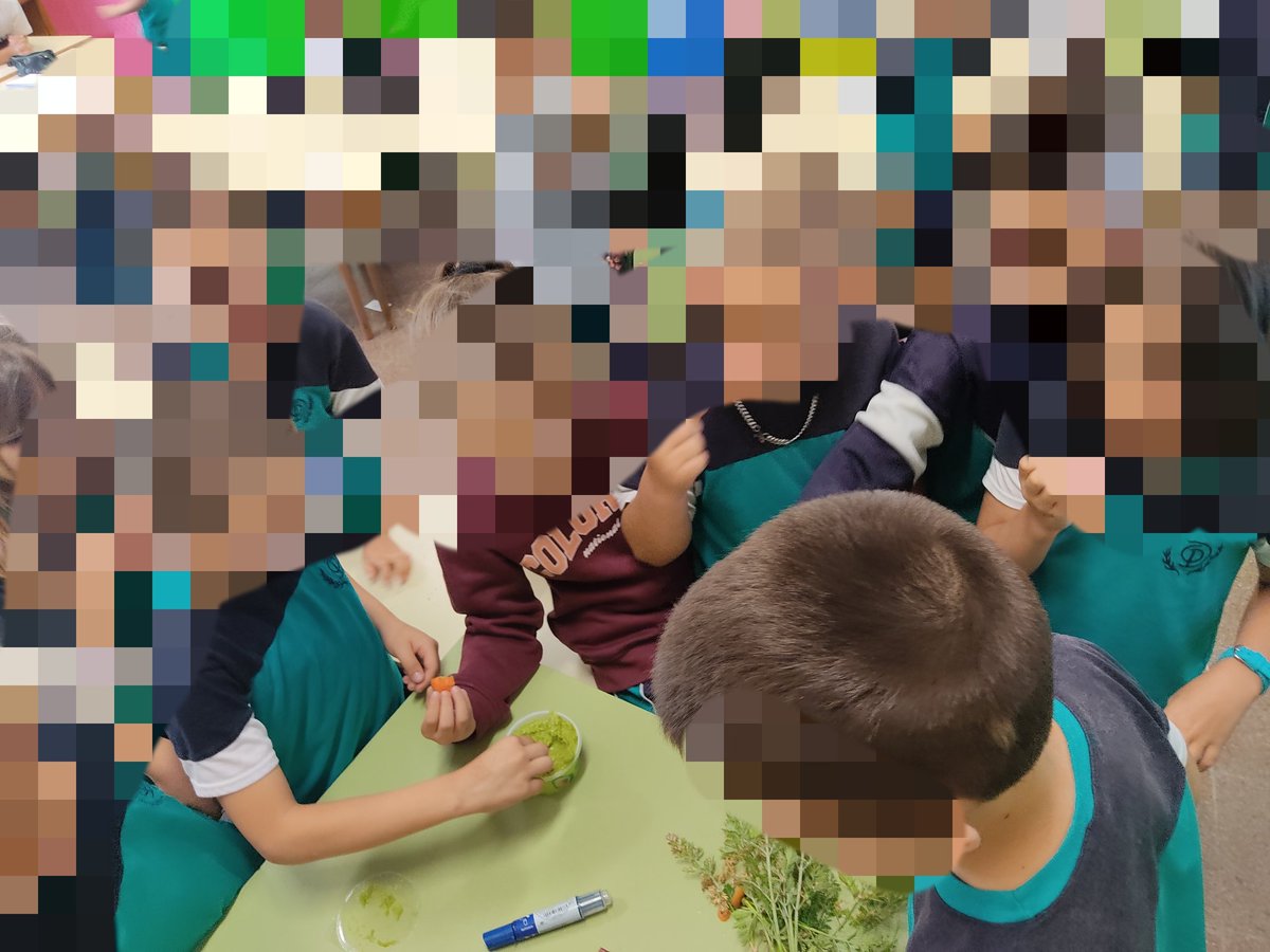 EmiliogallardoP's tweet photo. Aquí otro proyecto transversal. El huerto de 2°. 

Ya nos comimos las zanahorias y estamos esperando las papas. https://t.co/QlJ3NGs6AE