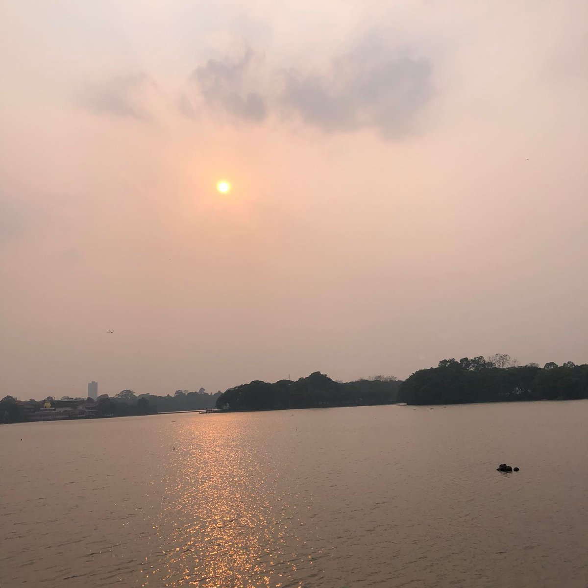 kyuleolix's tweet photo. Stay until the sunsets 🌅 https://t.co/AI1aPZKduy