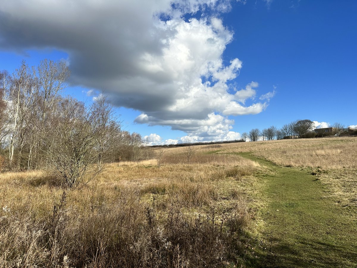 UniofStaffsIOE's tweet photo. This #WellbeingWednesday ... The weather is improving, so take time for you, in our beautiful on-campus #meadow .
Being surrounded by nature can:
🌳 Improve your mood
🌻 Reduce stress
🌷 Help you feel relaxed
#MentalHealth #Wellbeing #IOEStaffs #Unilife #ChooseStaffs @StaffsUni https://t.co/WraIzllzGo