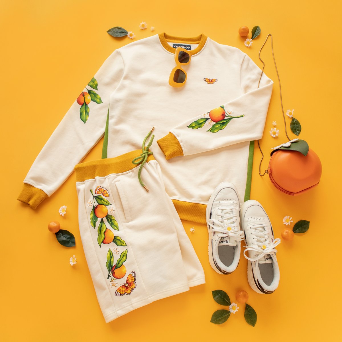 Carmico 🦋 tweet media