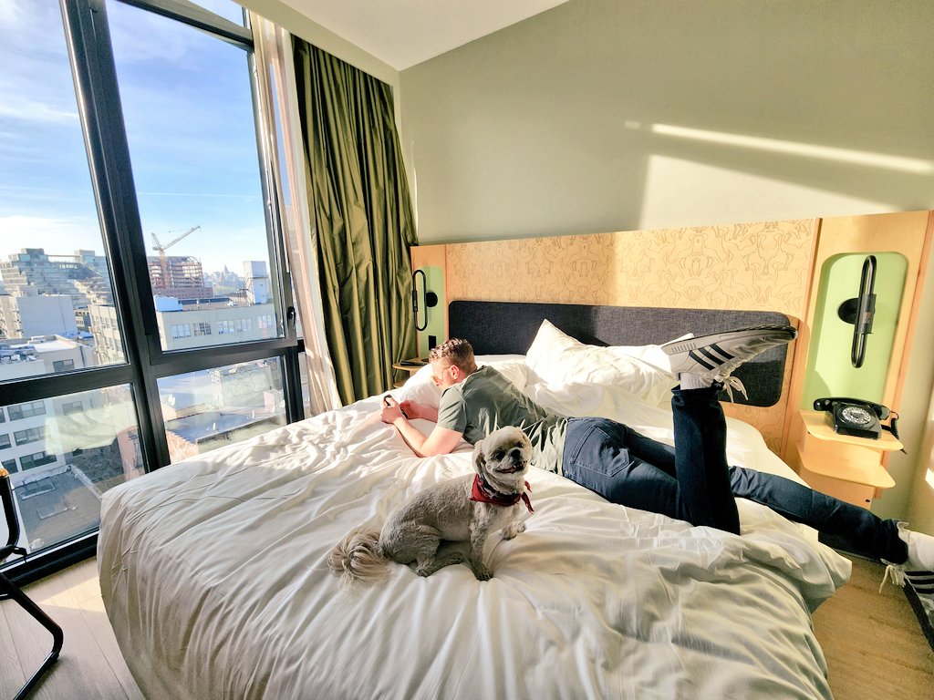 Pet friendly <a href="/MoxyHotels/">Moxy Hotels</a> in #Brooklyn 🐶♥️ woof!