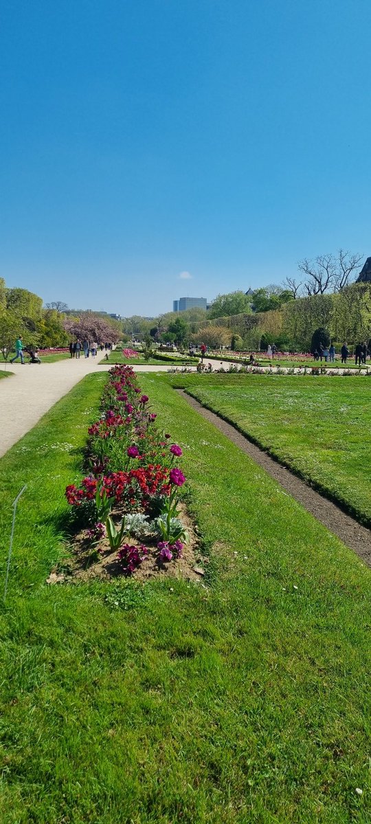 milliemagpie92's tweet photo. Trip to Le Jardin des Plantes today #triptoparis https://t.co/vniZLqPvrd