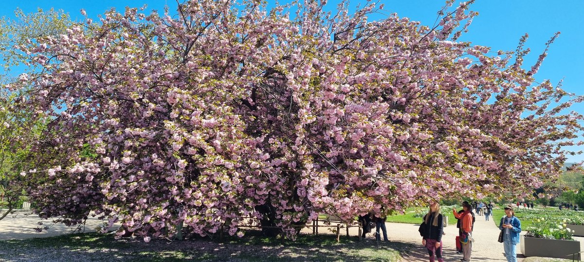 milliemagpie92's tweet photo. Trip to Le Jardin des Plantes today #triptoparis https://t.co/vniZLqPvrd
