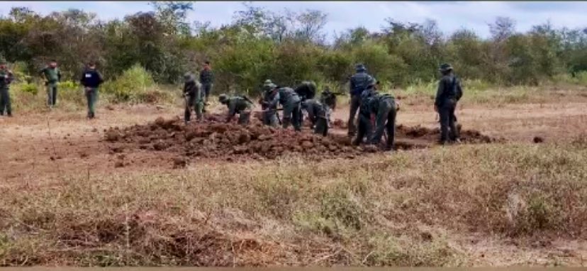 dhernandezlarez's tweet photo. Venezuela no será parte del narcotráfico. Luchamos sin descanso por la erradicación de los flagelos dañinos para la sociedad. 

#GestaIndependentista https://t.co/blPztLTX5I