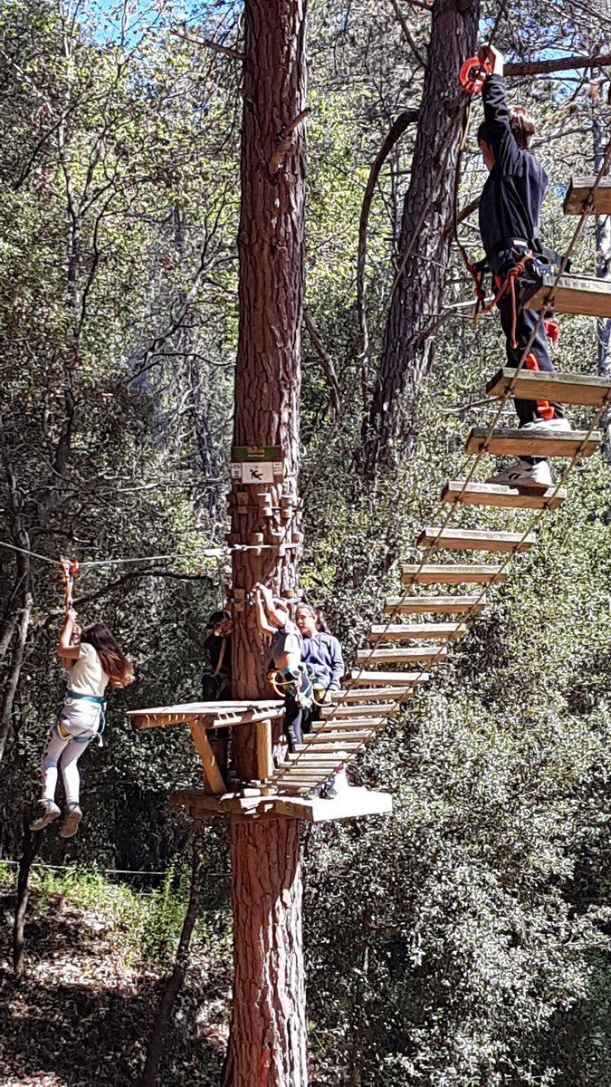 escolaelshorts's tweet photo. Hem continuat la nostra aventura a la natura. Ha estat genial!
#colonies
#ElCollell
#gaudimalanatura https://t.co/247ptQjA4T