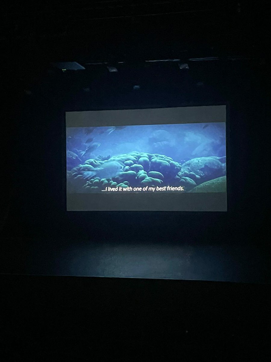 Story_MTU's tweet photo. #NowShowing: Distraction (Ireland)  

LIVE from the First Film Screening of the 2023 Story Film Festival at the Rory Gallagher Theatre, MTU

#StoryMTU #Story2023 https://t.co/g2JQWVjQkm