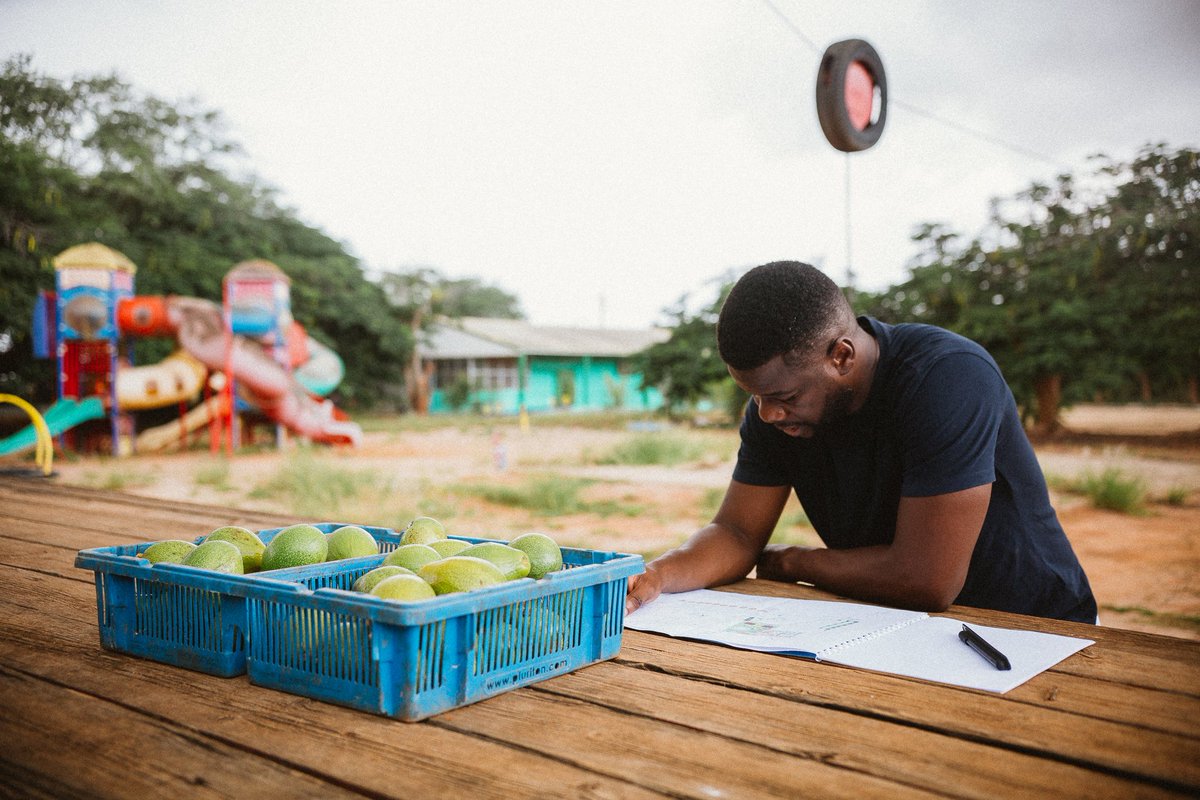 Alema_ao's tweet photo. Mostrar as crianças a importância da agricultura no desenvolvimento da nossa sociedade e semear o interesse delas no agronegocio sustentável são os principais objectivos da Fazenda Escola. https://t.co/Ph2pOU24th
