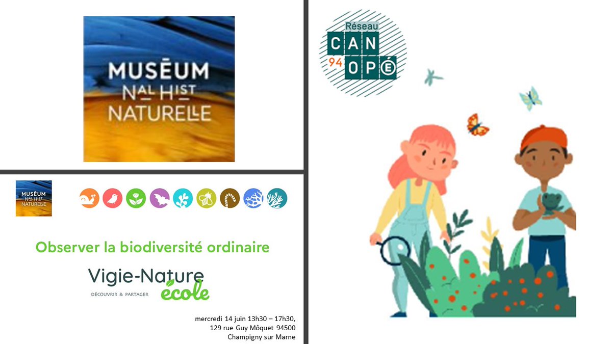 canope_94's tweet photo. 🌏Sensibilisez vos élèves à la #biodiversité en vous initiant aux #sciencesparticipatives avec le @Le_Museum
🗓️Au programme le 14/06: un webinaire d'introduction et une expérimentation d'un protocole de #Vigienatureécole
 👉https://t.co/9mzskw2Cn2 (nombre de places limitées) https://t.co/0munLwsQ4x