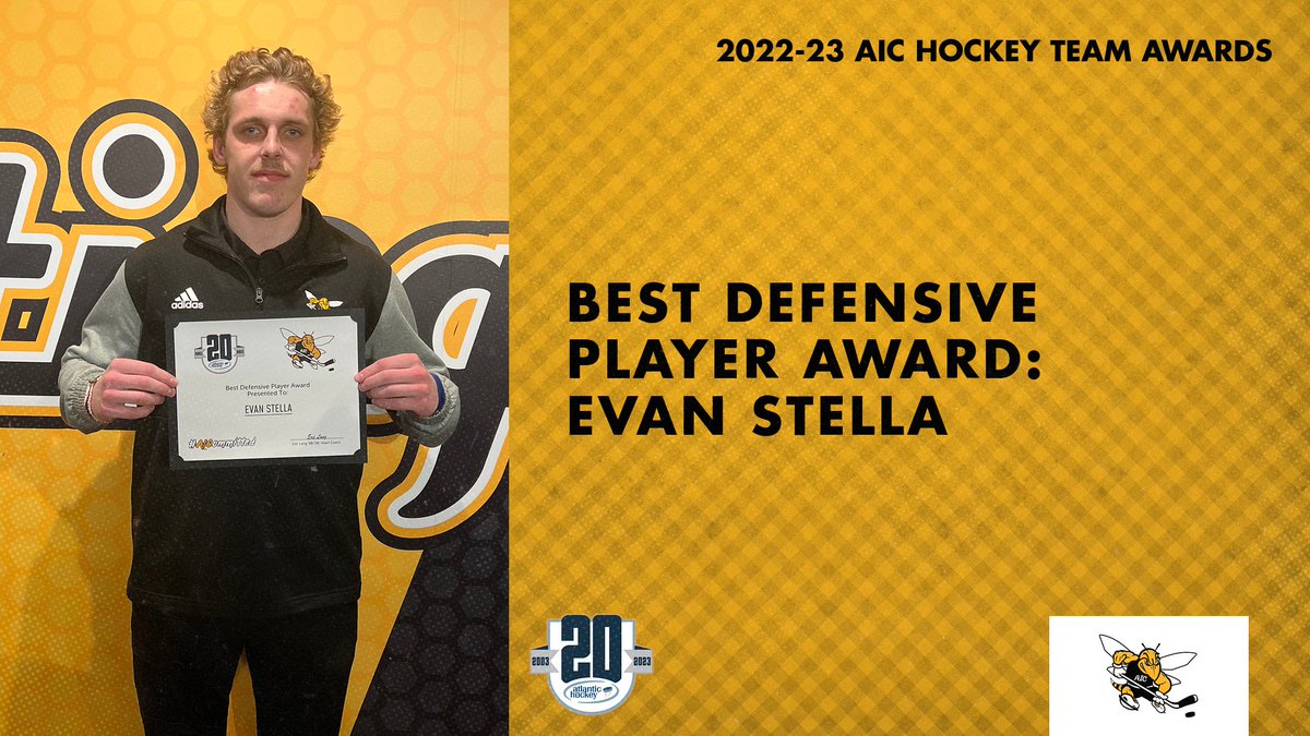 AIC Hockey tweet media