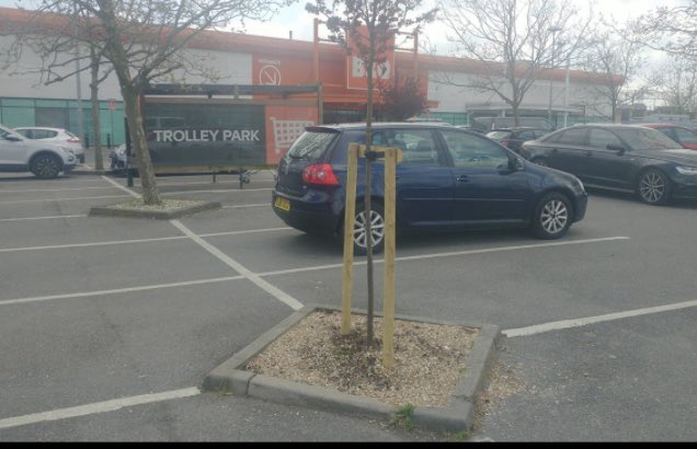 PlasticsCrisis's tweet photo. Good News: Following our tweet, Band Q Leyton Mills have REMOVED plastic turf from the trees outside! Bad News: …they are still selling it inside 🥹 #ToxicTurf #plasticpollution #Fracking4Plastic #FossilFuels #biodiversity https://t.co/N5xWyRF7cI