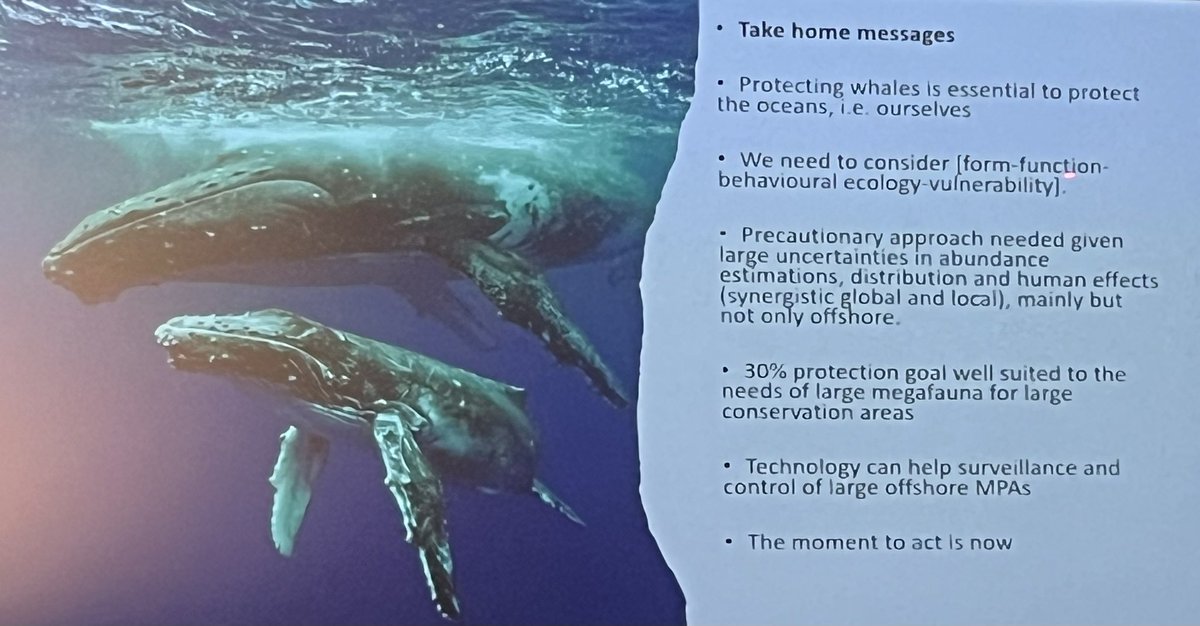 Nicola Hodgins tweet media