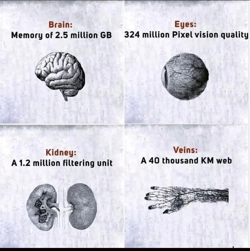 alkanadiya's tweet photo. Which of the favors of your Lord will you deny? None Ya Rabb https://t.co/HnpWQJcVZ0