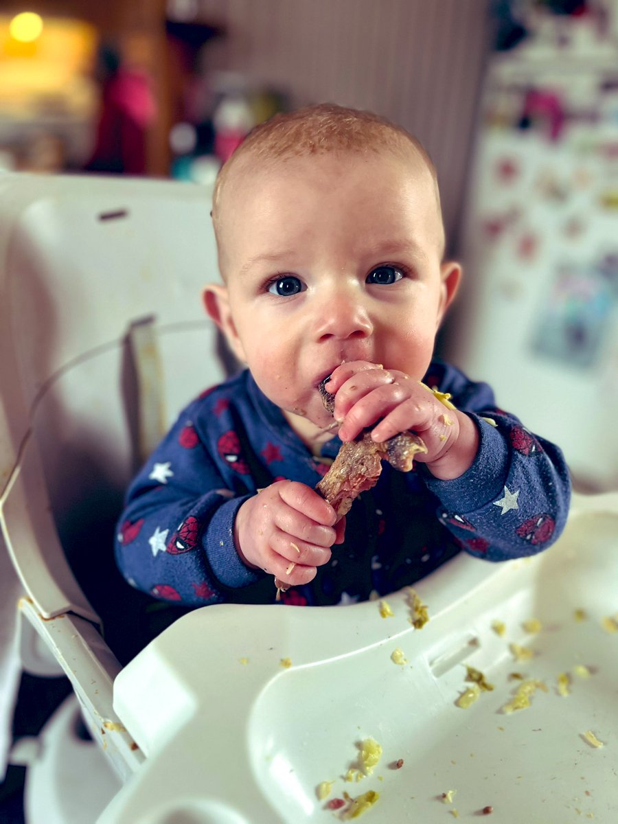 The love for home raised beef starts early in this house 🥩 #ontag #beef #tbone #babyledweaning @k_lyons55