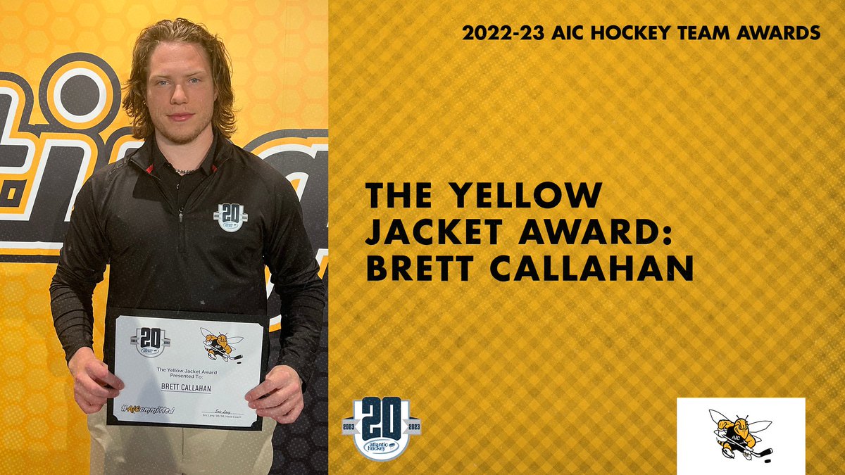 AIC Hockey tweet media