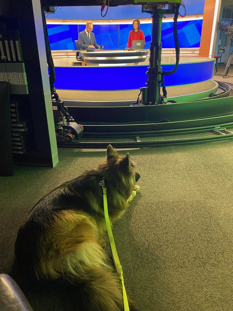 KasiaKerridgeTV's tweet photo. Live studio audience this morning!!📺

My dad is visiting Colorado Springs this week for the Space Symposium and stopped by @KKTV11News with Hira🐶 https://t.co/M6xq8Xkom7