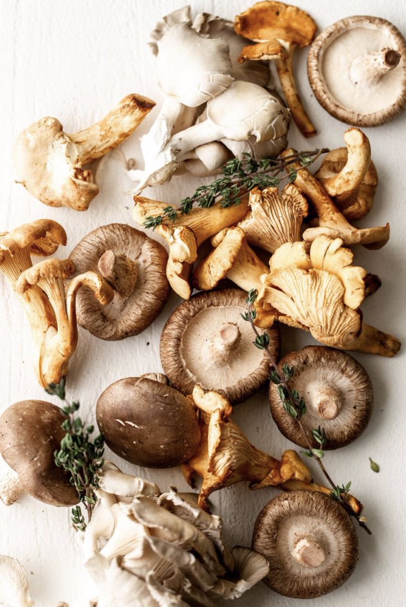 moospore's tweet photo. What’s your favorite mushrooms? #mushrooms #Cooking #moospore https://t.co/FC8SYNgCl5