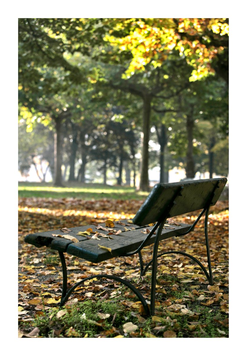 Sergio Marletti tweet media