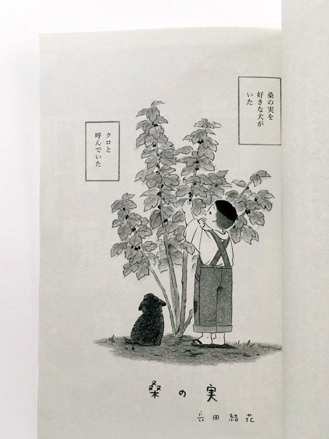 【お知らせ】同人誌『サイコロ012/あなたと同じ名前の木』が届きました。今回も参加できありがたいです。
長田は「桑の実」という題の漫画を描きました。久しぶりに文章が入る漫画です。未熟なところもあると思いますが、今描きたいものを描くことができました。ご覧いただければうれしいです。 
