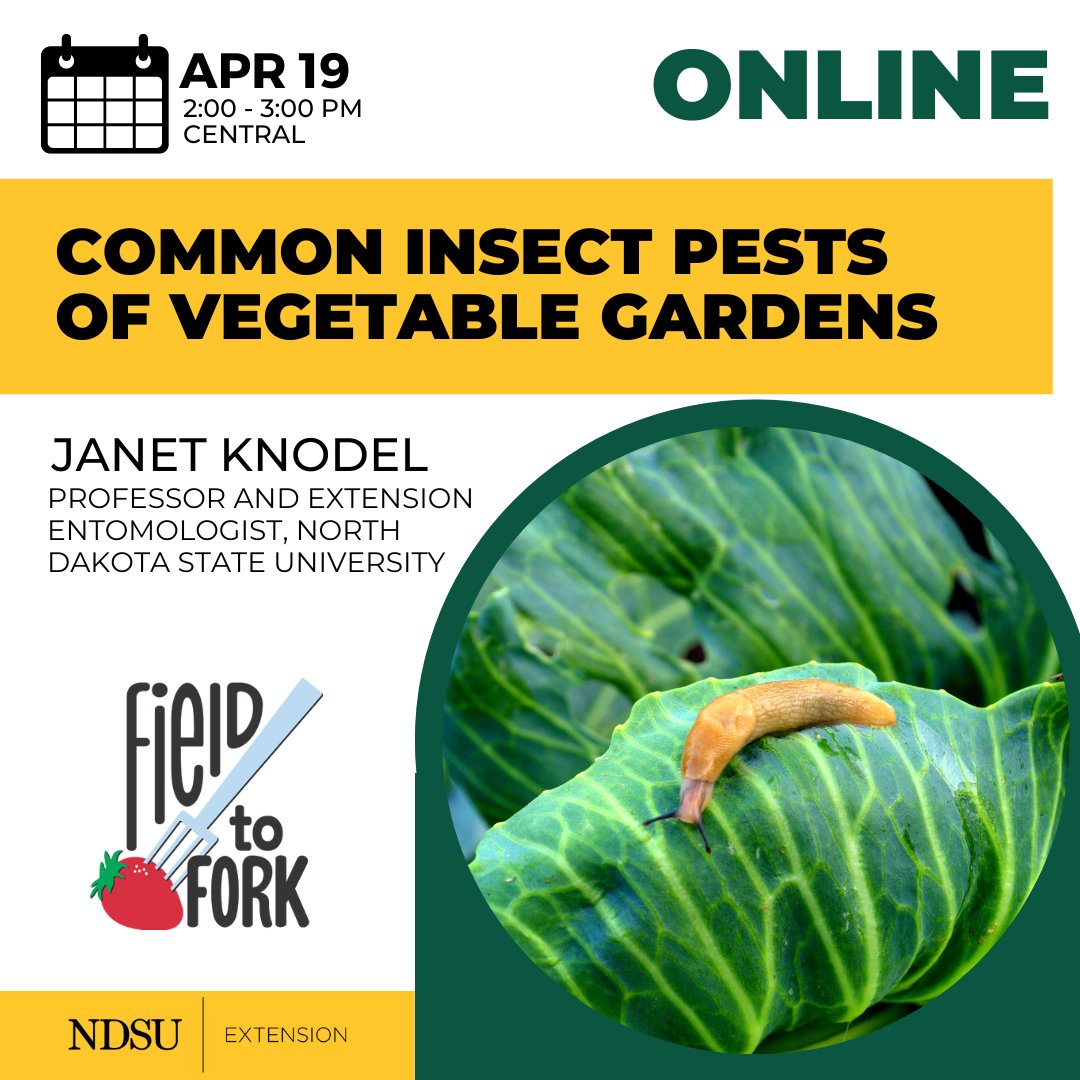 Join us at 2pm central time today for this webinar.
The weather is warming up and we will be gardening before you know it! #gardening #webinar #ndsu
Register >>> ndsu.edu/agriculture/ex…