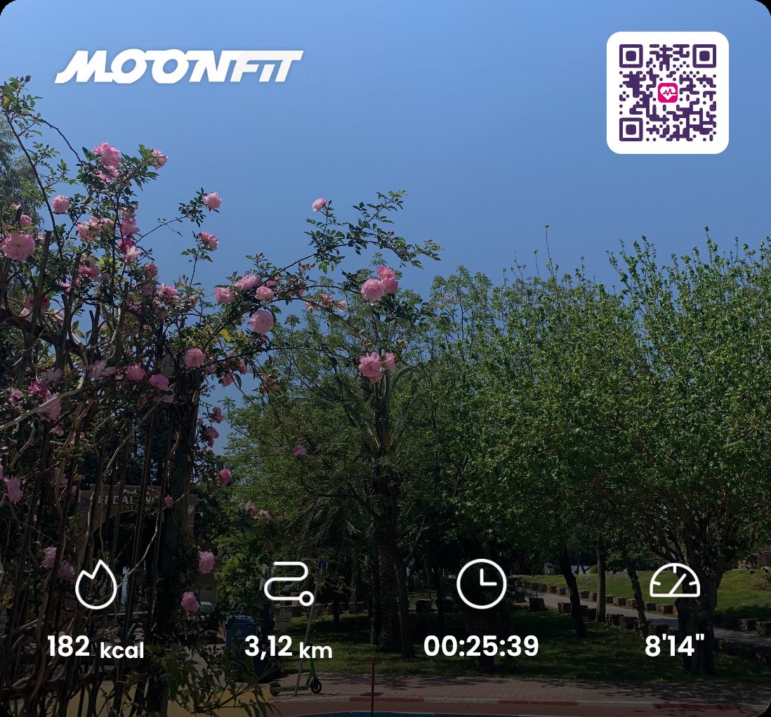 moonprincessann's tweet photo. Great start to the day with @MoonFitOfficial 🌸

#moonfit #perfectweek #web3fitness #sport #soorts #web3 #nft #moonbeam #lifestyle #m2e #MoveToEarn #fitness #fitnessgirl #FitnessJourney #wednesday #morning #morningmotivation https://t.co/hRUrfkIV59