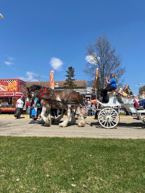 EquineSavings's tweet photo. We had such a fabulous time at the Midwest Horse Fair! Everyone loved seeing the equipment and the horses. Thank you to everyone who helped us and we are already looking forward to next year! π·
#newholland #exmarkmowers #toro #mowers #tractors #ThorTurf https://t.co/ahM8edF7lf