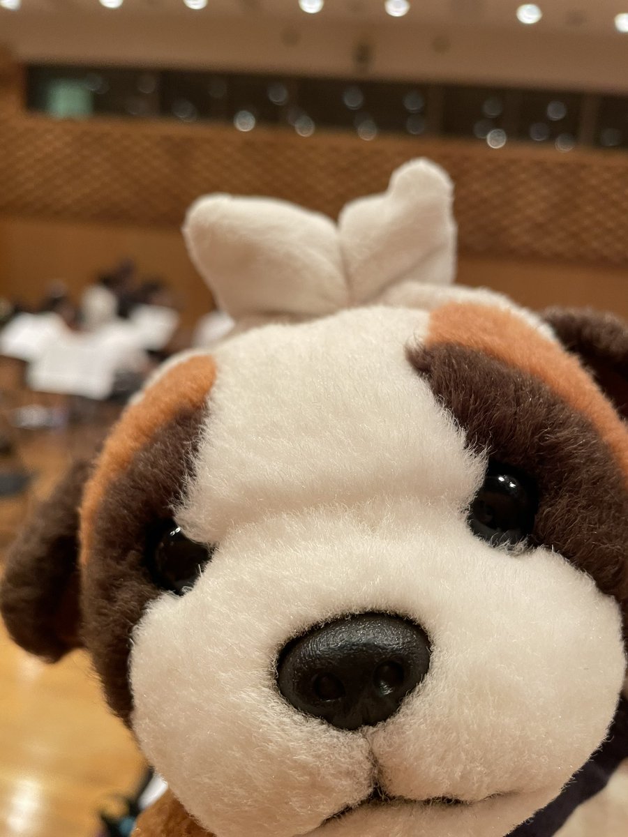 CMSuke tweet picture