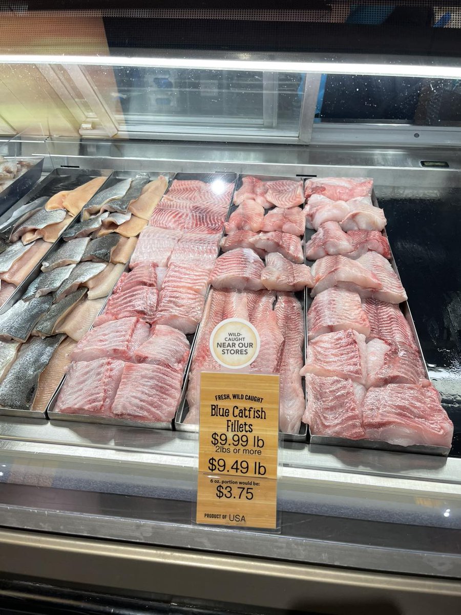 PRFC_Fisheries's tweet photo. “Wild caught near our shores”
Potomac River Blue Catfish at the Crofton, MD Wegmans are lowest price fish in their seafood case…….
📷 | MLG 4.15.23 https://t.co/1ogK0XZpKd