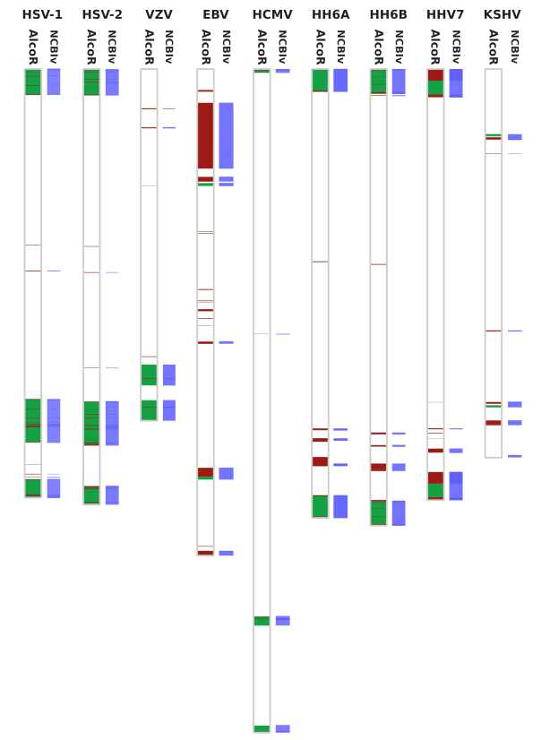 <a href="/awesome_viruses/">Virus infections and immunity</a> <a href="/MiguelFSilva1/">Miguel F. Silva</a> <a href="/UnivAveiro/">Universidade Aveiro</a> <a href="/helsinkiuni/">University of Helsinki</a> <a href="/ETH_en/">ETH Zurich</a> Yes, much more regions and, more importantly, without underestimation since the model is based on lossless data compression. Here is the analysis for these #Viruses . It looks promising for our future data 🥳