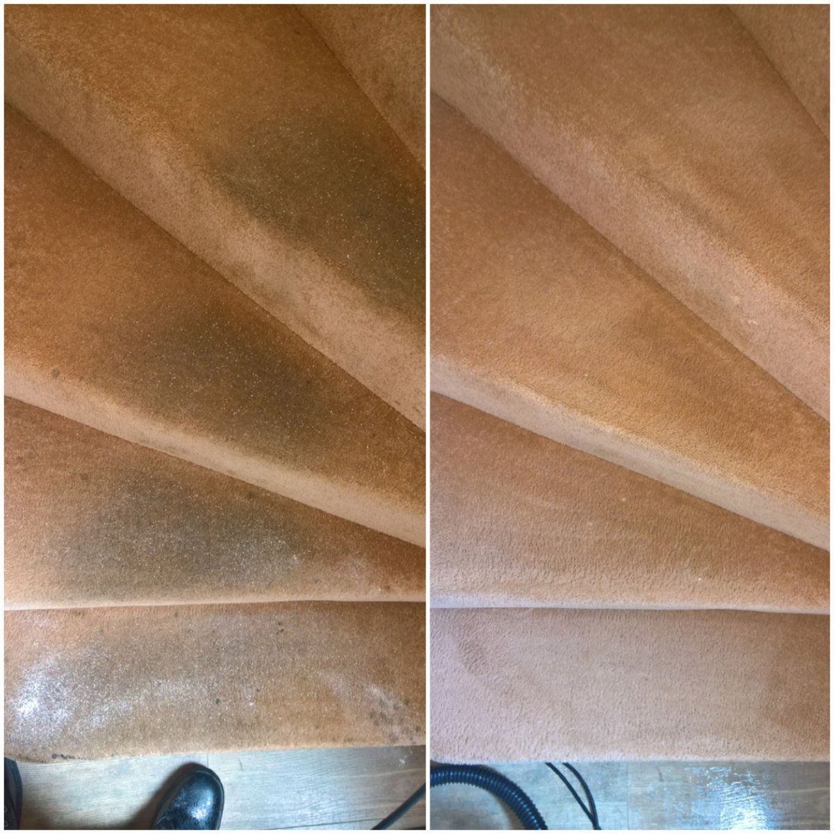 dmcarpetclean's tweet image. Don't let your carpets ruin your mood. We'll bring the sunshine back to your floors! #CleanHouseHappyHeart #CarpetGoals #CarpetCleanersRock