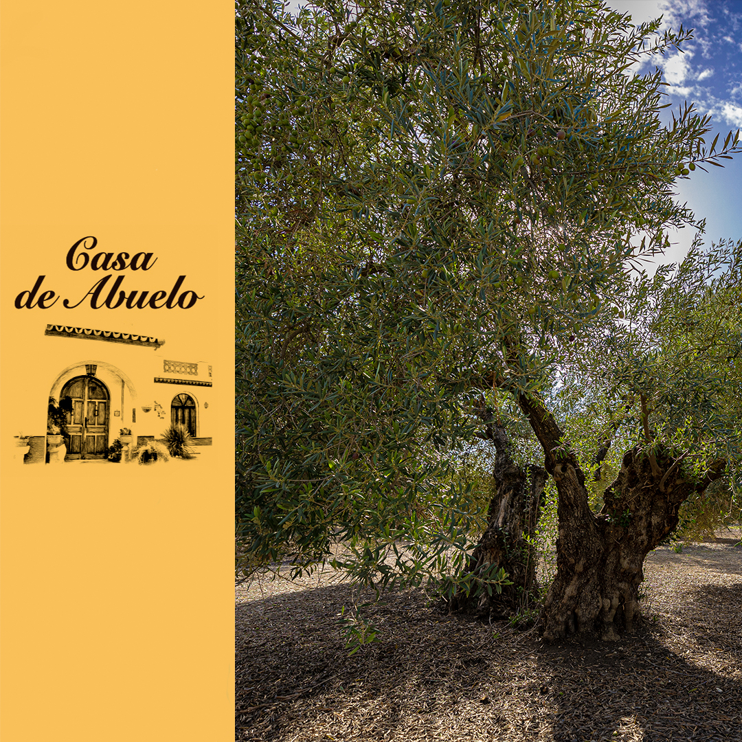 aovecasa_abuelo's tweet photo. Nuestro #aovecasadeabuelo es el resultado de la combinación perfecta entre el clima, el suelo y la variedad de aceituna. Es un producto único y lleno de matices que refleja la personalidad de la tierra donde proviene. #arbequina #hojiblanca #verdial #aceitepremium #andalucía https://t.co/cOW9rKZ9Wp