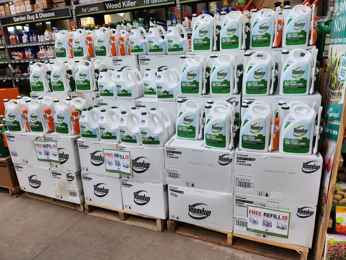 Alfred Gauna tweet media