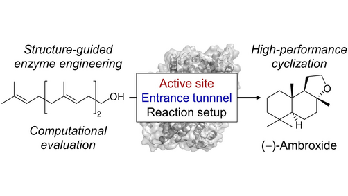 Angewandte Chemie (@angew_chem) on Twitter photo Harnessing the Structure and Dynamics of the Squalene-Hopene Cyclase for (-)-Ambroxide Production (Bernhard Hauer and co-workers) <a href="/IQCCUdG/">IQCC UdG</a> <a href="/CuradoChristian/">Christian Curado</a> <a href="/silviaosu/">Silvia Osuna</a> <a href="/Uni_Stuttgart/">Uni Stuttgart</a> <a href="/UdGRecerca/">UdG Recerca</a> <a href="/TCBioSys/">TCBioSys</a> #OpenAccess thanks to #ProjektDEAL onlinelibrary.wiley.com/doi/10.1002/an… Harnessing the Structure and Dynamics of the Squalene-Hopene Cyclase for (-)-Ambroxide Production (Bernhard Hauer and co-workers) <a href="/IQCCUdG/">IQCC UdG</a> <a href="/CuradoChristian/">Christian Curado</a> <a href="/silviaosu/">Silvia Osuna</a> <a href="/Uni_Stuttgart/">Uni Stuttgart</a> <a href="/UdGRecerca/">UdG Recerca</a> <a href="/TCBioSys/">TCBioSys</a> #OpenAccess thanks to #ProjektDEAL onlinelibrary.wiley.com/doi/10.1002/an…