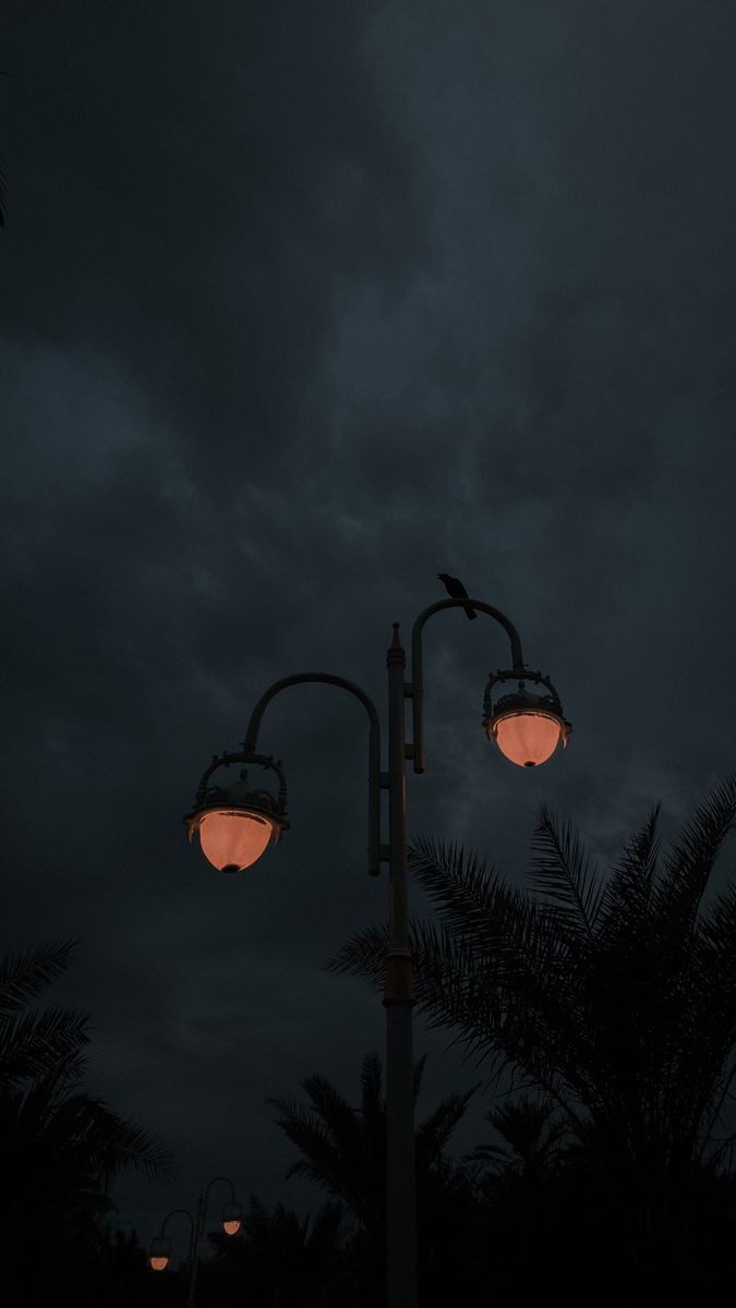 Mesh___444's tweet photo. "اللهم حقق مرادنا وأبهج أرواحنا وأجب دعواتنا وأسعد قلوبنا بكل أمرٍ نرجوه منك يارب العالمين".🧡✨

#ليله_٢٩ https://t.co/9Gvu1oo3me