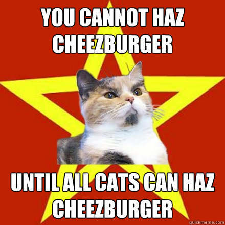 danhancox's tweet photo. Along with a detailed analysis of cats' political positions, we discuss the history of anthropomorphising our pets, #catbloc v #dogbloc, and why memes rely so heavily on our feline friends https://t.co/jNm2DYXgLl https://t.co/EeAbfpEoJZ