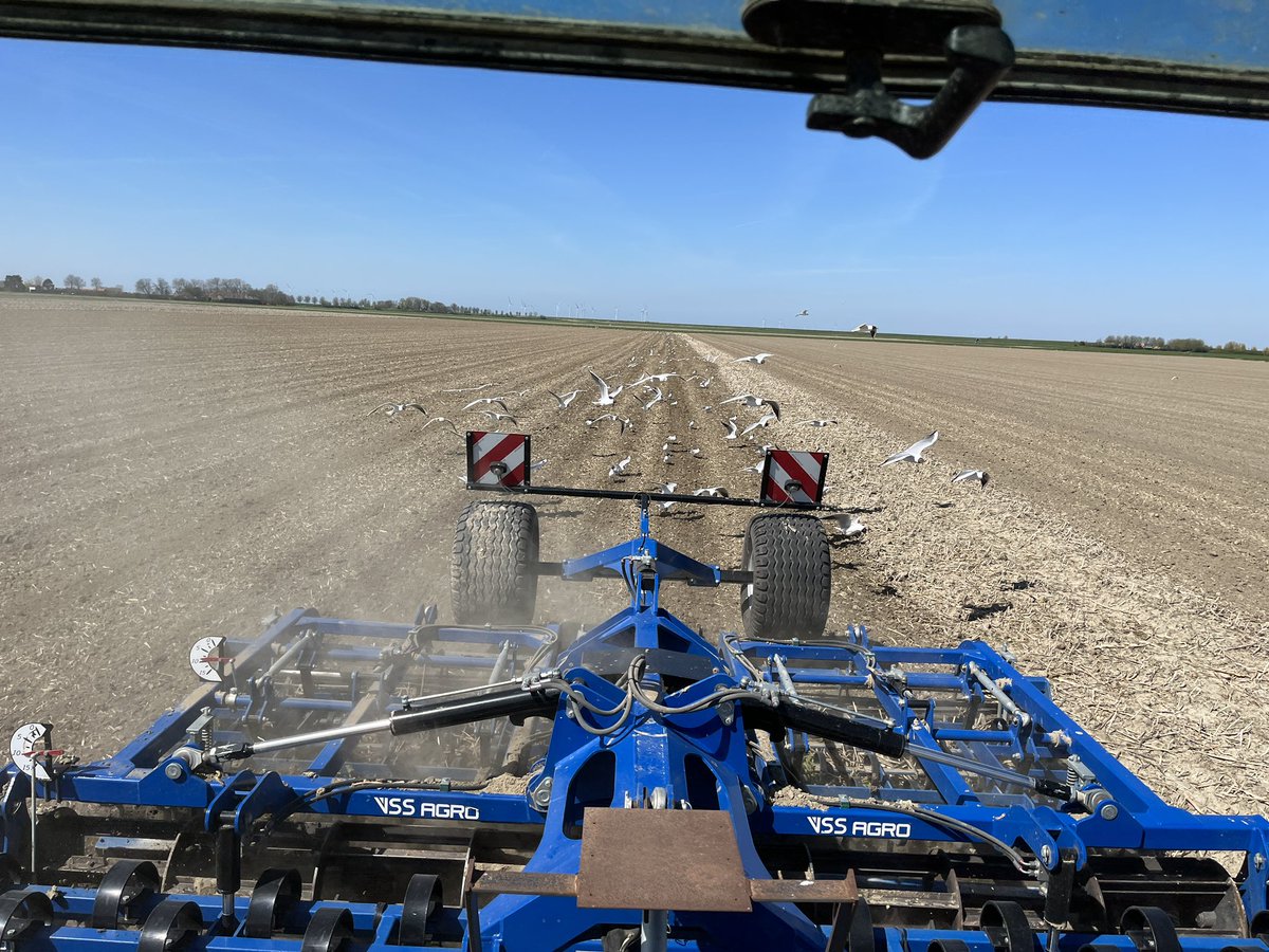 Hanko Blok tweet media