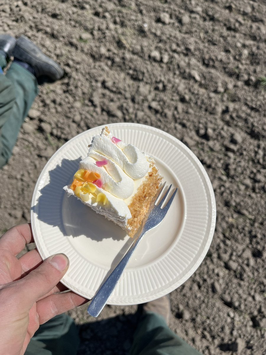 Hanko Blok tweet media