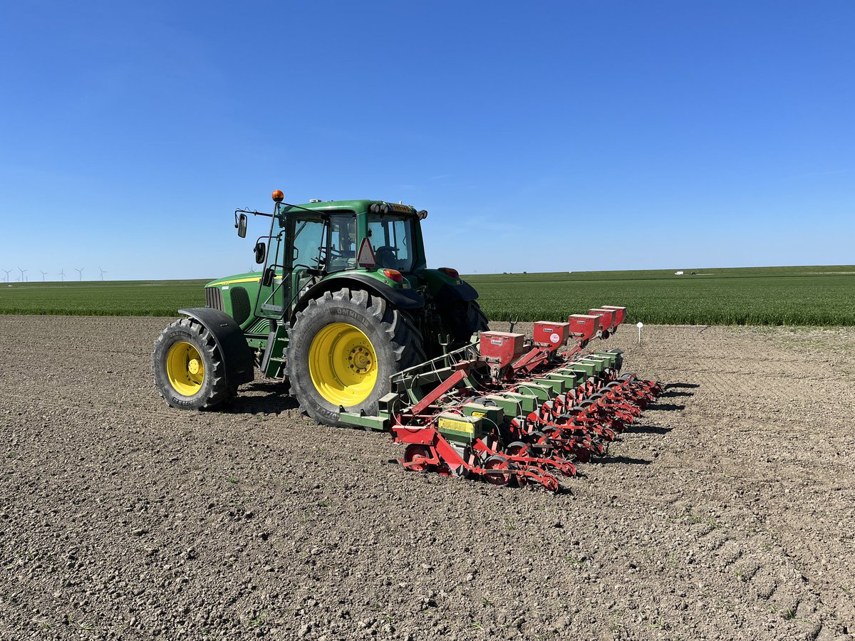 Hanko Blok tweet media