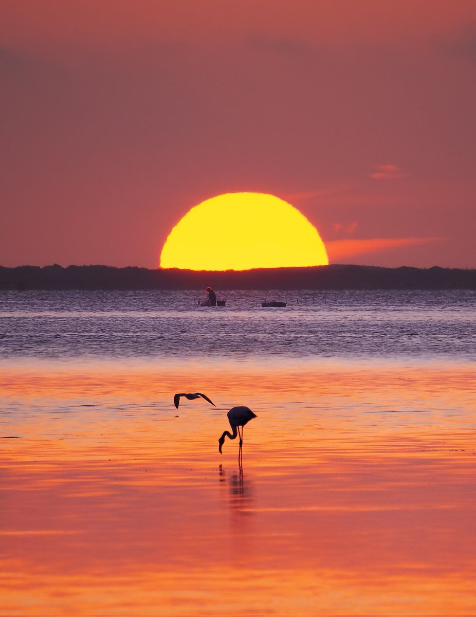 Albada d'avui a la badia del Fangar.
<a href="/catexperience/">Catalunya Experience</a> <a href="/terresebretur/">Terres de l'Ebre</a> <a href="/SocEcoturista/">Ecoturisme Catalunya 💙</a> <a href="/PDE/">Defensa de l'Ebre</a> <a href="/TurismeDeltebre/">Descobreix Deltebre</a> <a href="/TurismeLaRapita/">Turisme la Ràpita</a> <a href="/lampollaturisme/">ampollaturisme</a> <a href="/visitcatalonia/">Visit Catalonia</a>