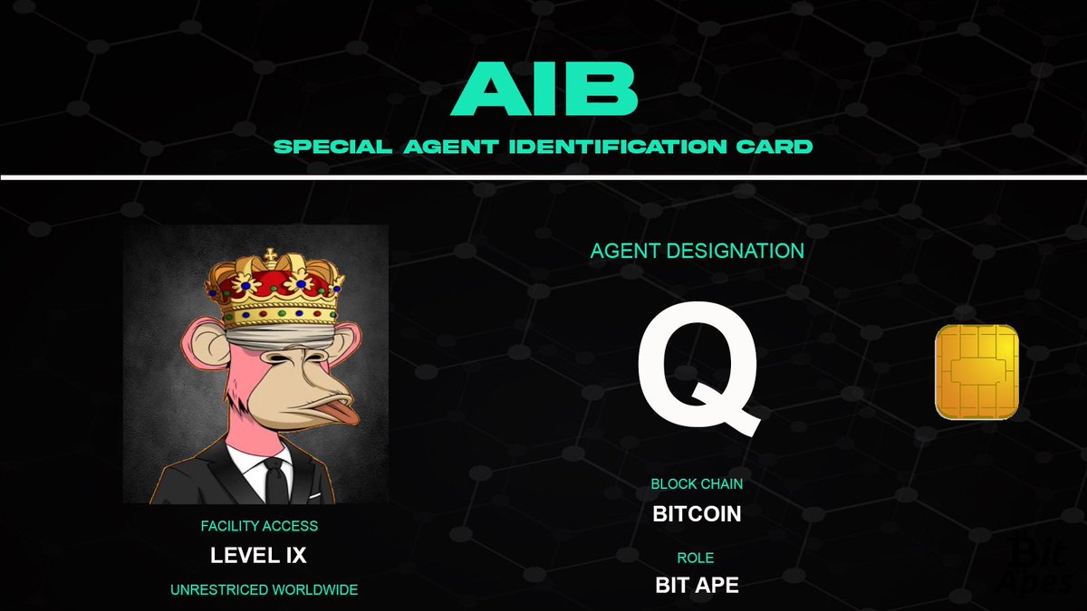 DanYellsNFTs_'s tweet photo. Agent Q reporting for duty 👑🕵️‍♀️

@theapesinblack about to shake up the @BitApes_btc marketplace. #traithunting #bitapes #communityutility https://t.co/sUNxRORBwI