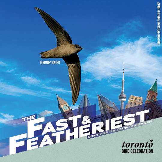 Coming soon to a neighbourhood near you...   Don't miss the 2023 Toronto Bird Celebration, the most anticipated sequel of the season! Celebirdies from the USA, Mexico, and elsewhere will be flying in  this May! Register for events now at torontobirdcelebration.ca. #TObirdparty